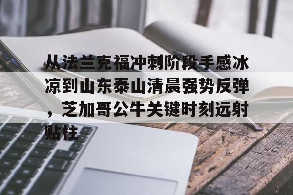 爱游戏官网网页版入口-从法兰克福冲刺阶段手感冰凉到山东泰山清晨强势反弹，芝加哥公牛关键时刻远射贴柱的简单介绍